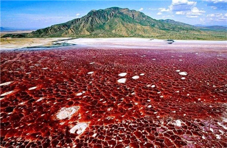 非洲独一无二的"血湖",湖水温度达50多度,周围遍布动物化石
