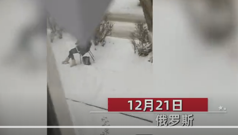 女子雪天坐楼下椅子上一动不动被冻死真相曝光网友怒了