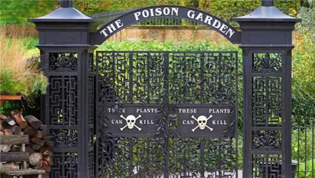 包含一百種毒株世界上最“毒”的花園(世界上最毒的植物是什么)