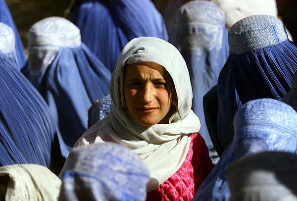 塔利班发言人阿富汗政府中将出现女性职位