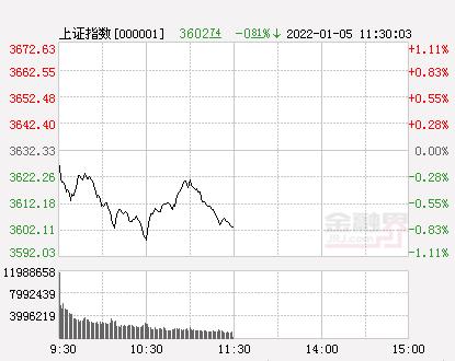 金融界1月5日消息 今日a股三大指数小幅低开后震荡下挫,沪指盘中曾