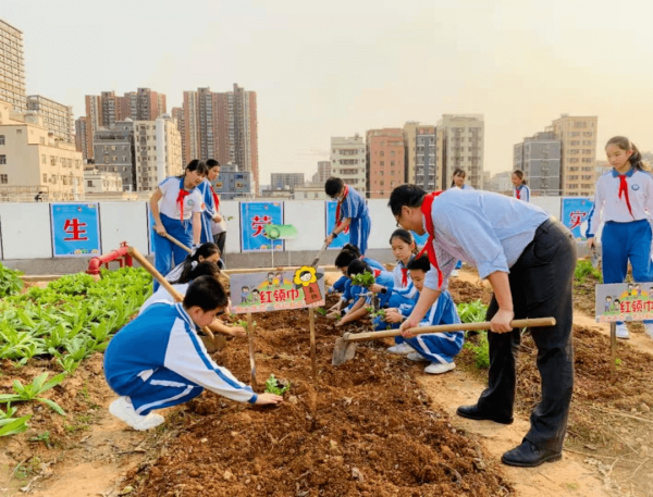 劳动课回归！教育部要求中小学生会“煮饭”，家长：建议在校完成