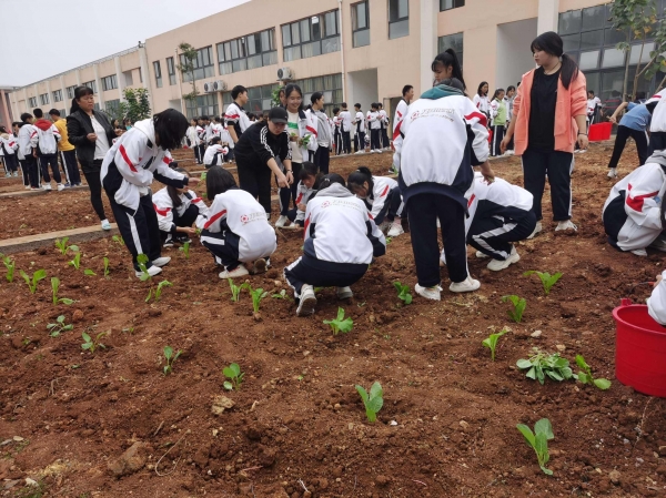 劳动课回归！教育部要求中小学生会“煮饭”，家长：建议在校完成