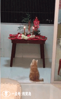 200_322gif 动态图 动图