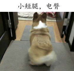 搞笑动态图gif遇到个逗逼好友是什么感受