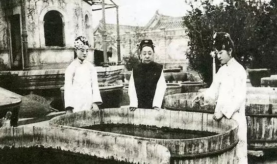 瑾妃在延禧宫赏鱼.