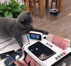 搞笑gif: 公司新聘的出纳，大家看看尽不尽职