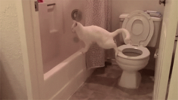 搞笑gif动态图:论胸大的好处_看看头条_中华网