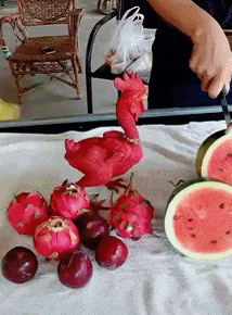 gif趣图: 是不是偷吃火龙果和西瓜了,才变成红公鸡的