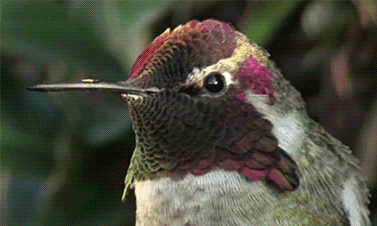 gif秀:终于发现了乌云背后的秘密,越看越可怕.