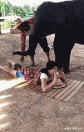 搞笑gif:一看就知道不是正经大象!_看看头条_中华网
