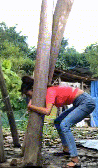 内涵gif: 嫂子快回家吧, 穿成这样要去送福利吗