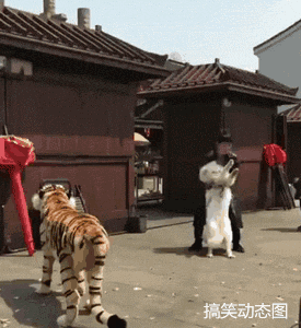 正经的搞笑动态图:一晚上都在加班后的女人走路都显得蹒跚了