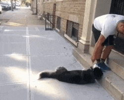 搞笑gif趣图天天盯着手机看现在被别人当成搞笑对象了吧