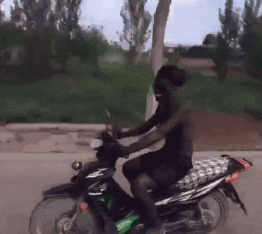 搞笑gif: 自己给自己舔毛 ! 略略略 ! 然后被自己恶心到了