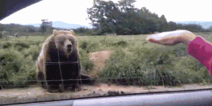 爆笑gif: 来玩啊不了不了_看看头条_中华网