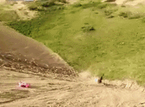 搞笑gif: 领导翻车了,你们自己看着办吧