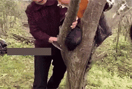 搞笑gif趣图这婚结的有点闹心啊