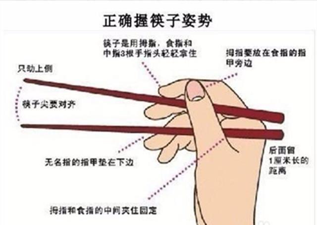 明星拿筷子的姿势各不相同,易烊千玺和郑爽成标准模范