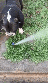 哪里有卖?大家好,我的帅气谁也阻挡不住!