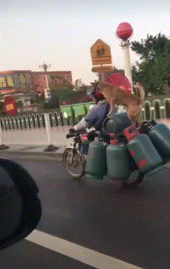 爆笑gif: 到底是什么样的柠檬,让我后背发凉!