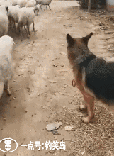 搞笑13波尬笑一下