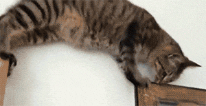 搞笑gif:这车,怕不是该修了?_看看头条_中华网