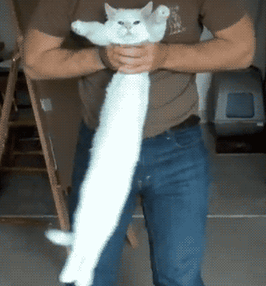 搞笑gif:你们不是不喜欢广场舞,只是不喜欢那群大妈而已!