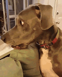 搞笑gif:大力敲鸡蛋的搞怪男人_看看头条_中华网