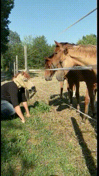 搞笑gif趣图:哥们,你在干嘛,是想跨越物种谈恋爱吗?