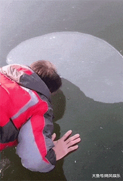 搞笑gif: 我突然冒出了好多想法_看看头条_中华网