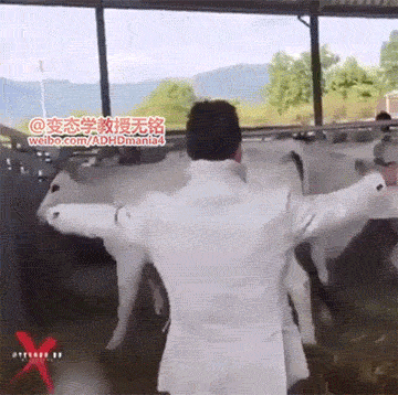 搞笑娱乐gif(一)_看看头条_中华网