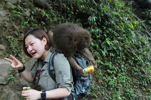 小心峨眉山的猴子已经成精了2