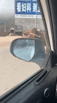 搞笑gif趣图:摔倒也要帅帅的!_看看头条_中华网