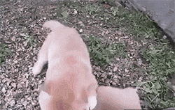 搞笑gif: 这个男的家里肯定有矿,你们说呢