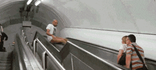 搞笑gif:知不知道什么是不作死就不会死