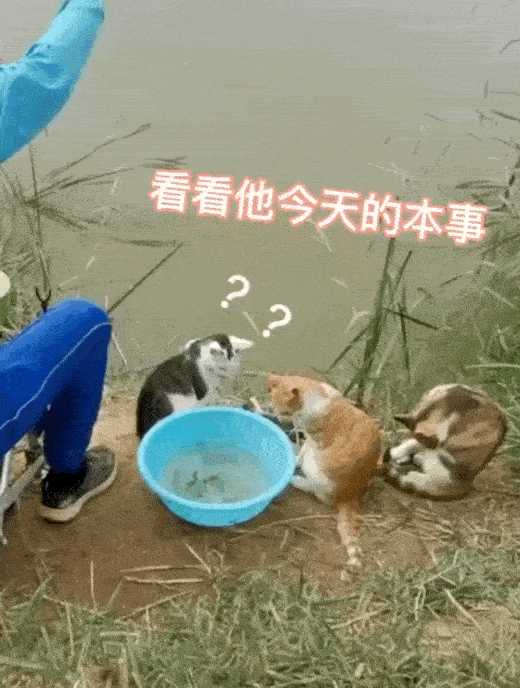 我在哪里,我在干嘛,我经历了什么…_看看头条_中华网