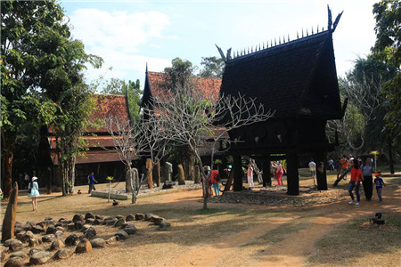 泰国最“独特”寺庙，不供奉佛像，却陈列各种动物标本