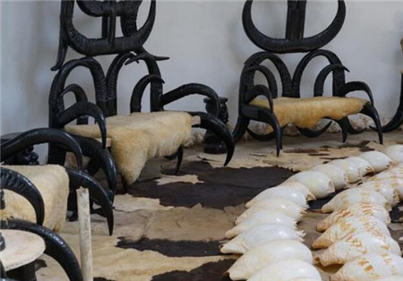 泰国最“独特”寺庙，不供奉佛像，却陈列各种动物标本