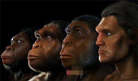 500万年来地球上一共有过多少人类最权威答案要揭晓了