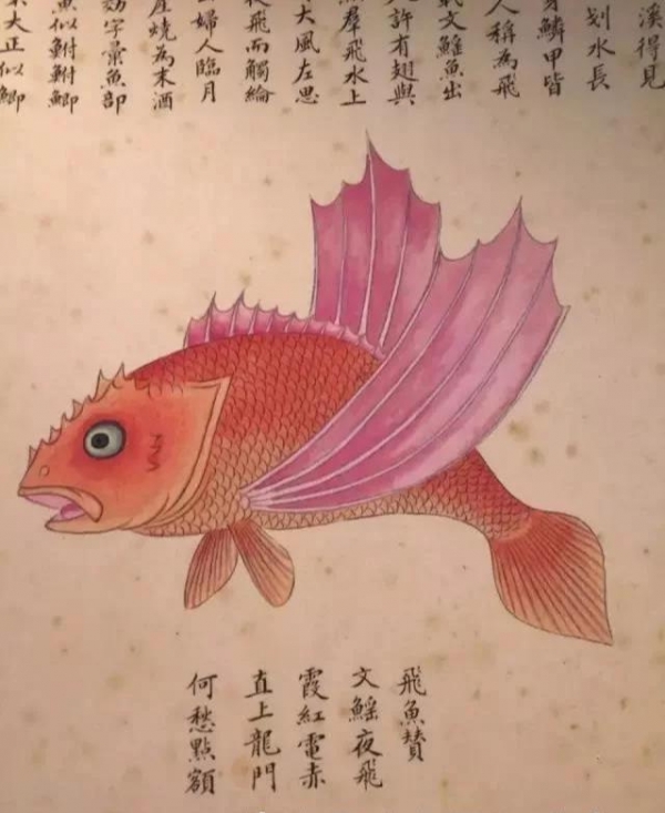 一本300年前的古册 画着奇怪的 异形 网友 越看越可怕 看看头条 中华网