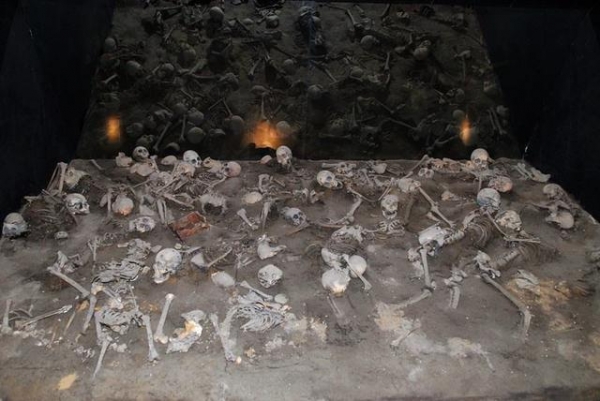 而且,里面尸骨杂乱无章,全是一块一块,专家研究确定是秦始皇子女陪葬