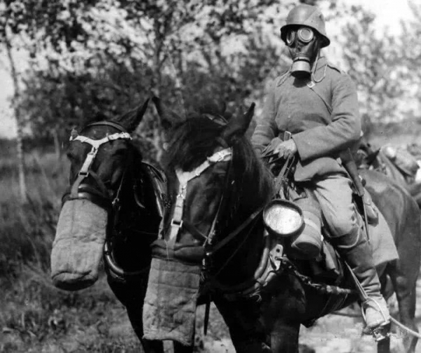 十二,1918年10月英军驱逐了德国占领军,进入法国里尔.