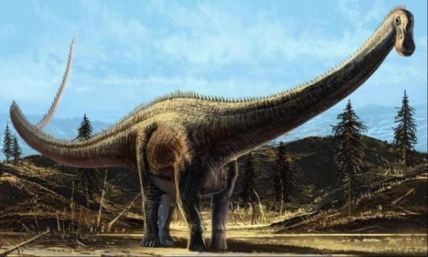 盘点体型最大的五种恐龙，你都认识吗？