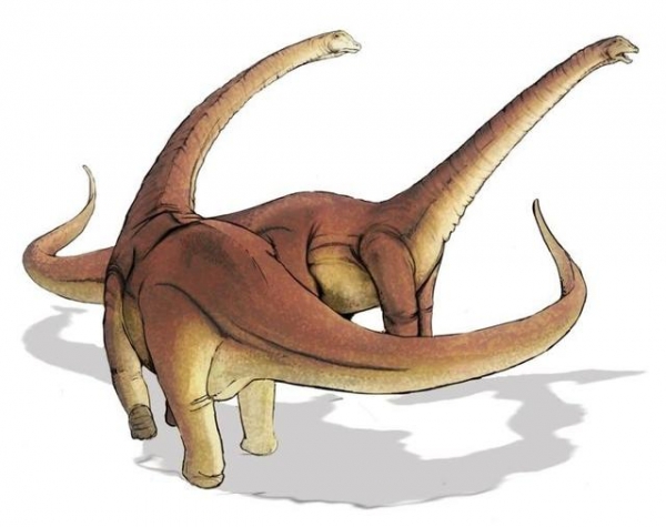 盘点体型最大的五种恐龙，你都认识吗？