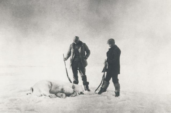 瑞典探险家乘热气球去北极，坠落后极地求生3个月，33年后被发现 瑞典 探险家 极地求生 第12张