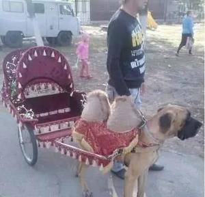 销魂|姑娘们，这是要修仙吗？