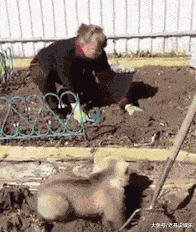 销魂|姑娘们，这是要修仙吗？