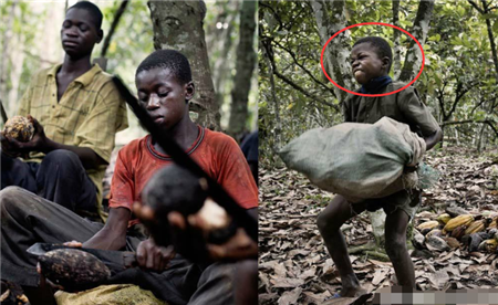 震惊世界的黑人小孩被称为圣婴的她如今活成这样6