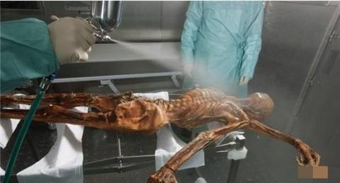 阿尔卑斯山千年冰尸现神秘纹身参与的科学家离奇死亡2